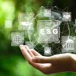 Entenda como as modelagens econômico-financeiras ajudam a criar projetos sustentáveis