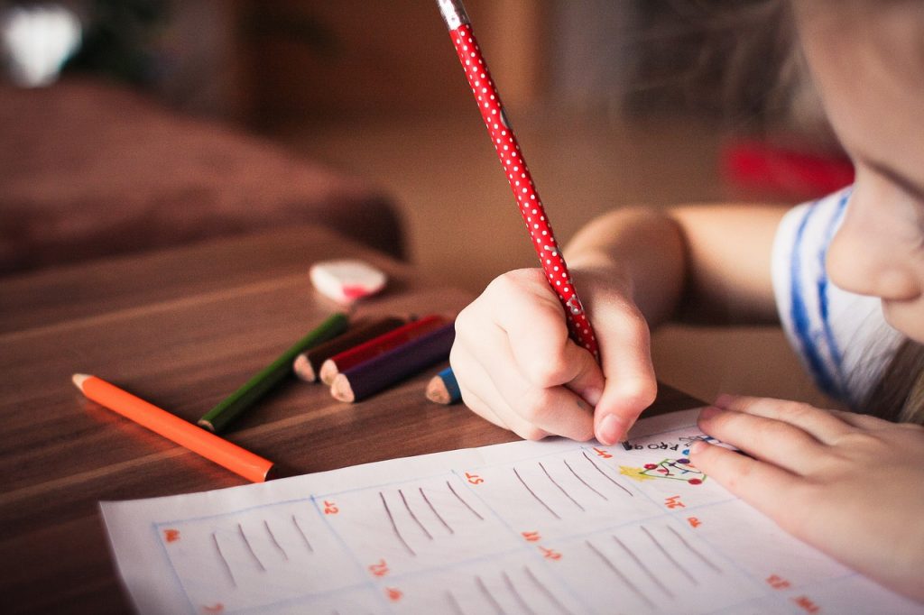 [ Infográfico] PPPs e concessões na educação: um panorama geral e o papel das Concessões na melhoria da qualidade